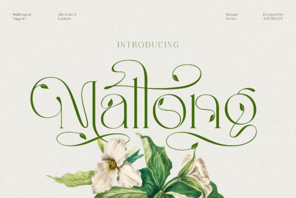Discovering Mallong: The Serif Typeface Blending Timeless Elegance with Organic Charm