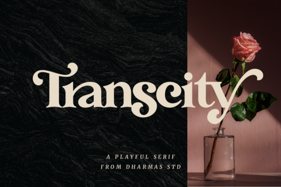 Transcity: Where Bold Design Meets Elegant Sophistication